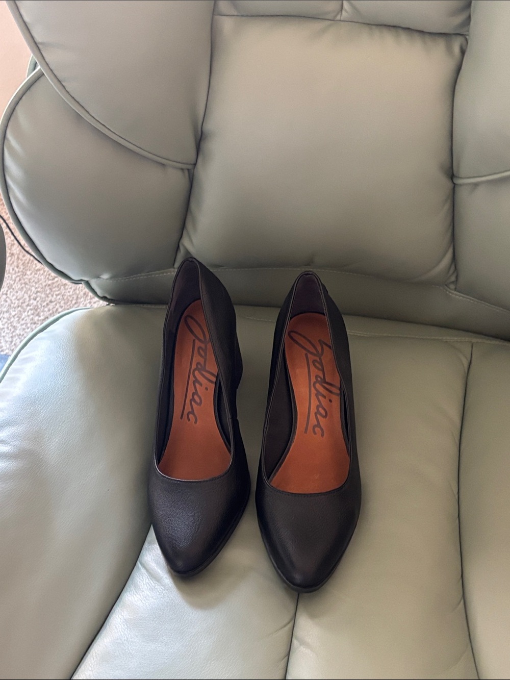 Zodiac Pumps
